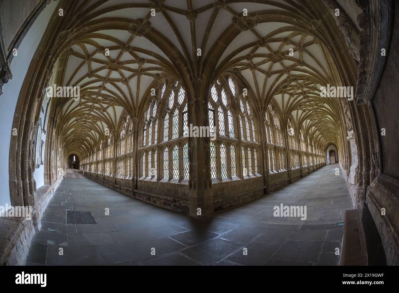 Immagine con obiettivo fisheye dell'interno della cattedrale di Wells Foto Stock