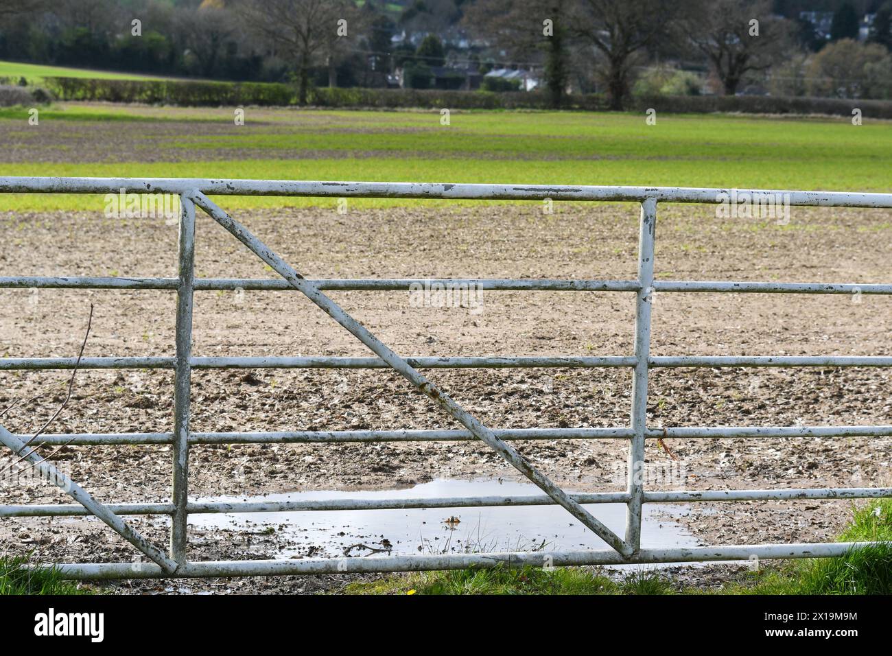 campo coltivatore fangoso dopo una primavera umida 2024 Foto Stock