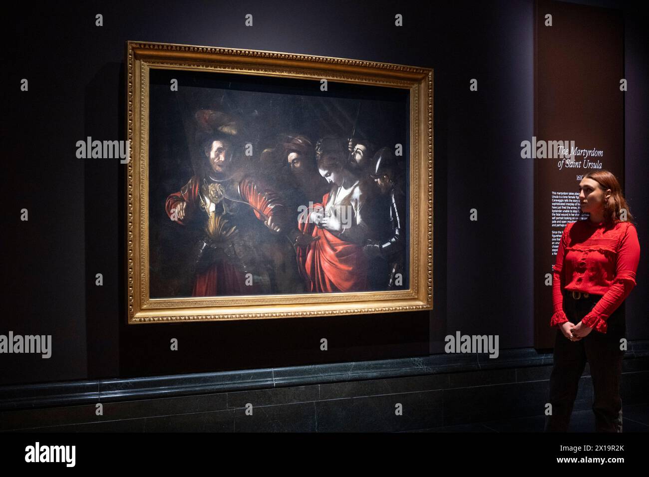 National Gallery, Londra, Regno Unito. 16 aprile 2024. La Galleria Nazionale espone l'ultimo dipinto di Caravaggio (Michelangelo Merisi da Caravaggio (1571-1610), non visto nel Regno Unito per quasi 20 anni. Il Martirio di Sant'Ursula, 1610, generosamente prestato dalla Collezione intesa Sanpaolo (gallerie d'Italia - Napoli) è esposto insieme ad un'altra opera tardiva dell'artista italiano della Collezione della Galleria Nazionale, Salome riceve il Capo di Giovanni Battista, circa 1609-2010. La mostra si svolge dal 18 aprile al 21 luglio 2024. Crediti: Malcolm Park/Alamy Live News Foto Stock