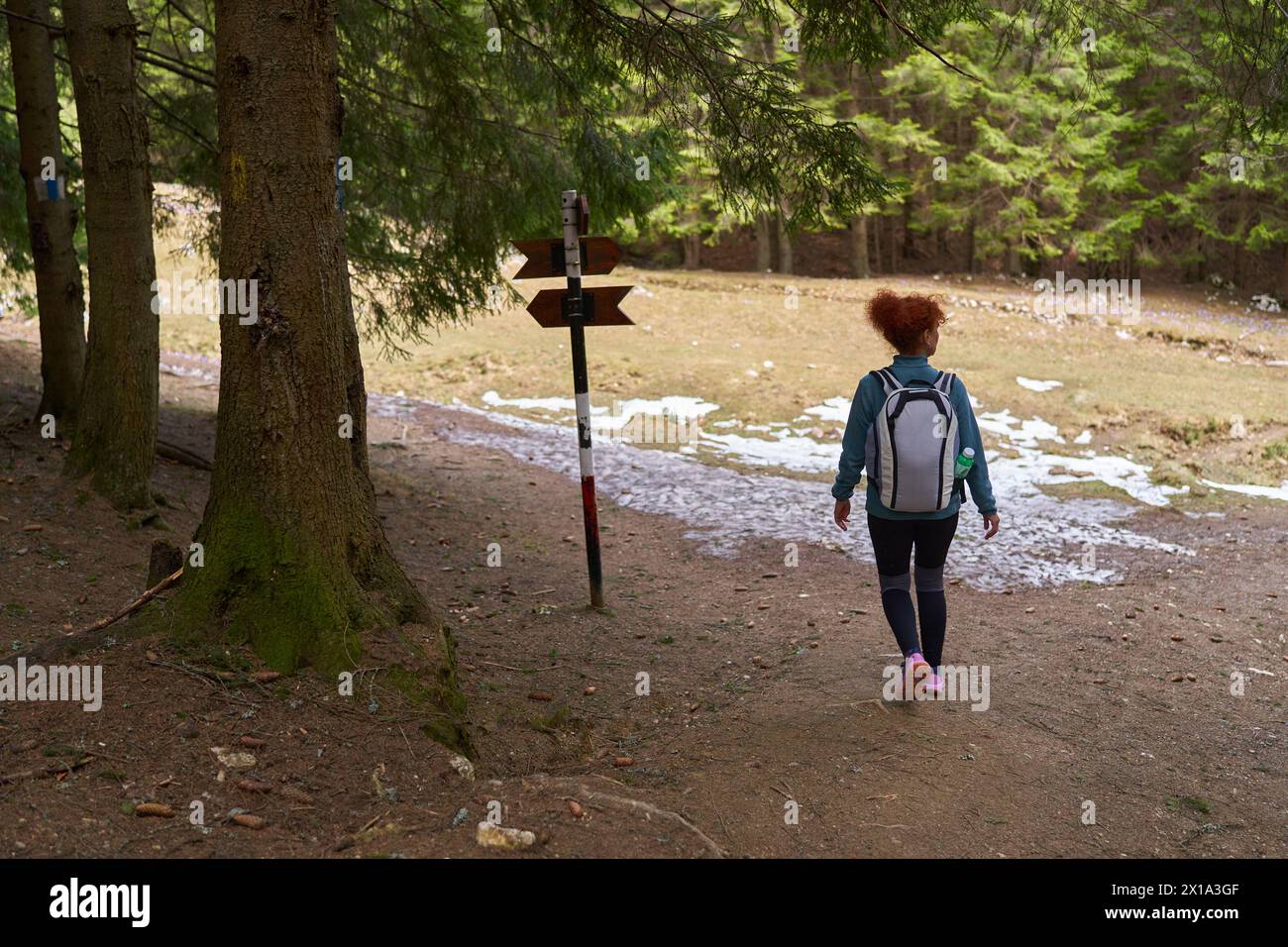Donna con zaino che cammina da sola su un sentiero in montagna, attraverso la foresta Foto Stock