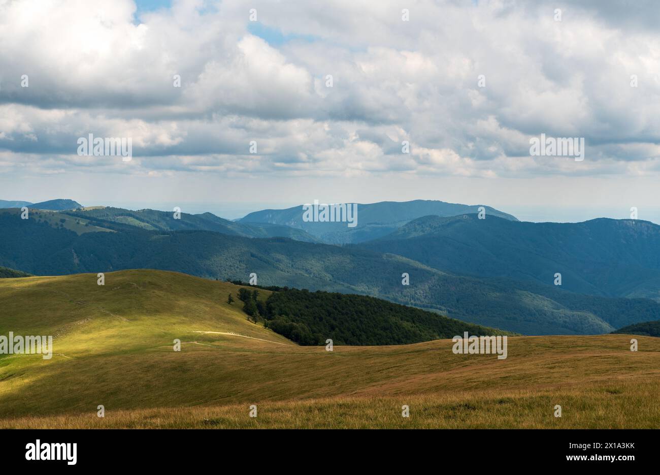 Carpazi meridionali selvaggi in Romania - vista durante il trekking nelle montagne di Valcan durante il pomeriggio estivo Foto Stock