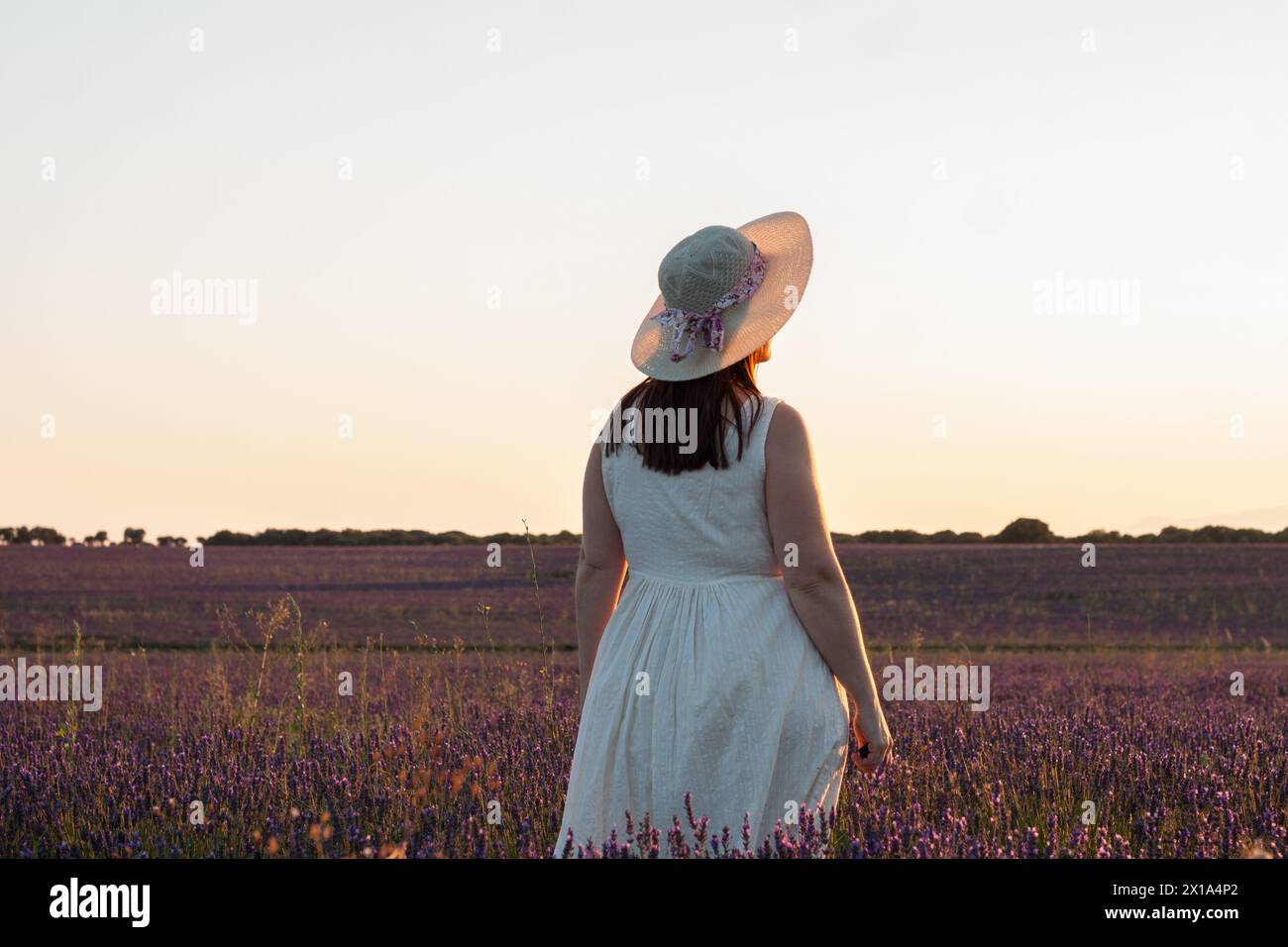 donna con cappello di paglia e abito leggero in un campo di lavanda al tramonto in una giornata estiva Foto Stock