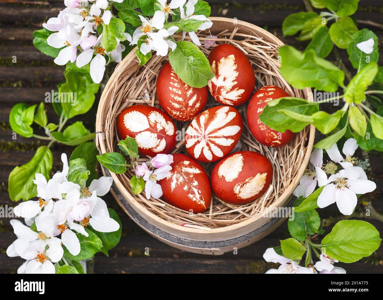 Vista dall'alto delle uova di Pasqua fatte in casa tinte con bucce di cipolla e motivo in un vecchio setaccio di farina di legno intorno ai rami in fiore di mele. Fai da te o decorazione Foto Stock