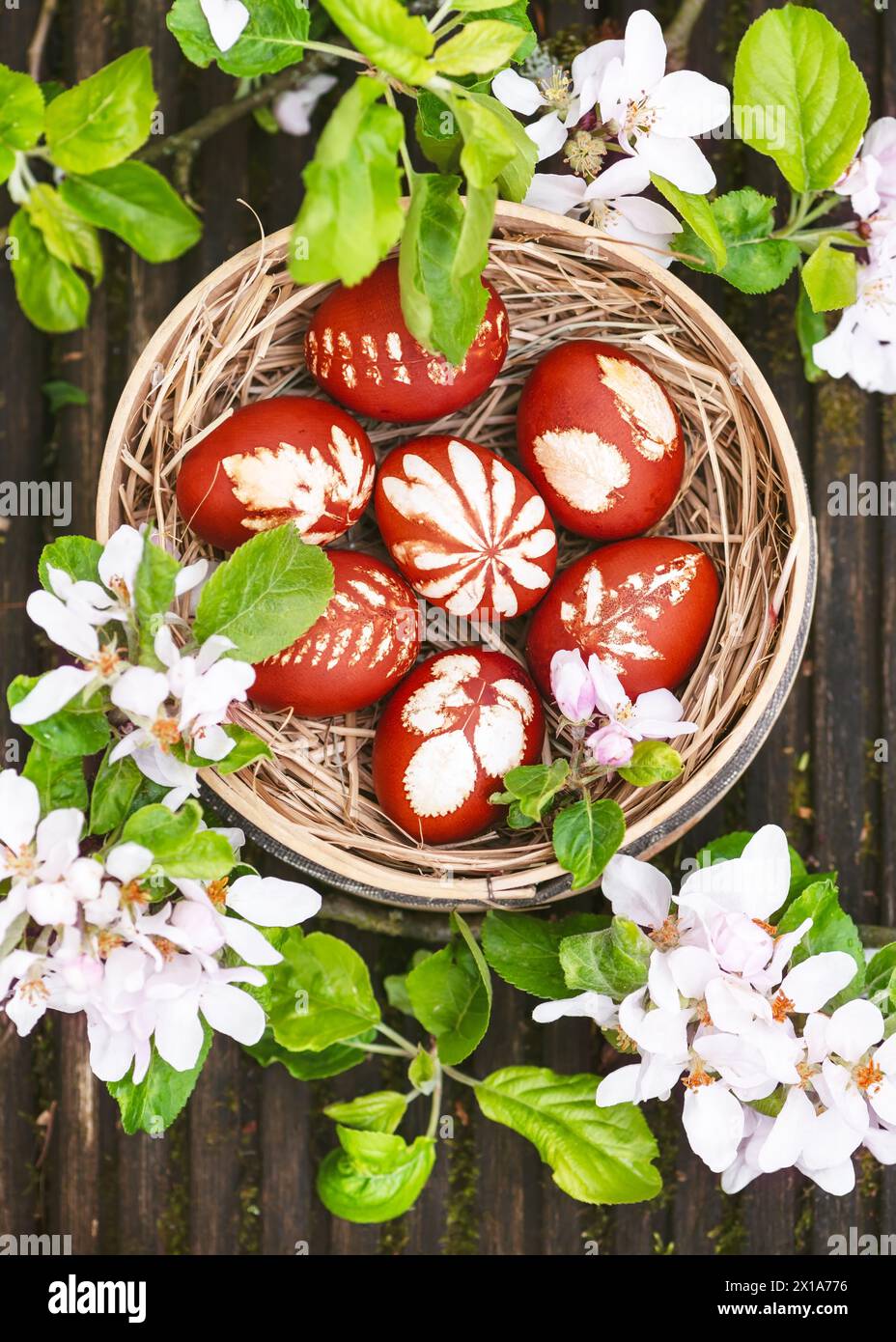 Uova di Pasqua tradizionali tinte con bucce di cipolla e fantasia di foglie fresche di piante in un setaccio rustico di farina intorno ai rami di mela in fiore. Fai da te o deco Foto Stock