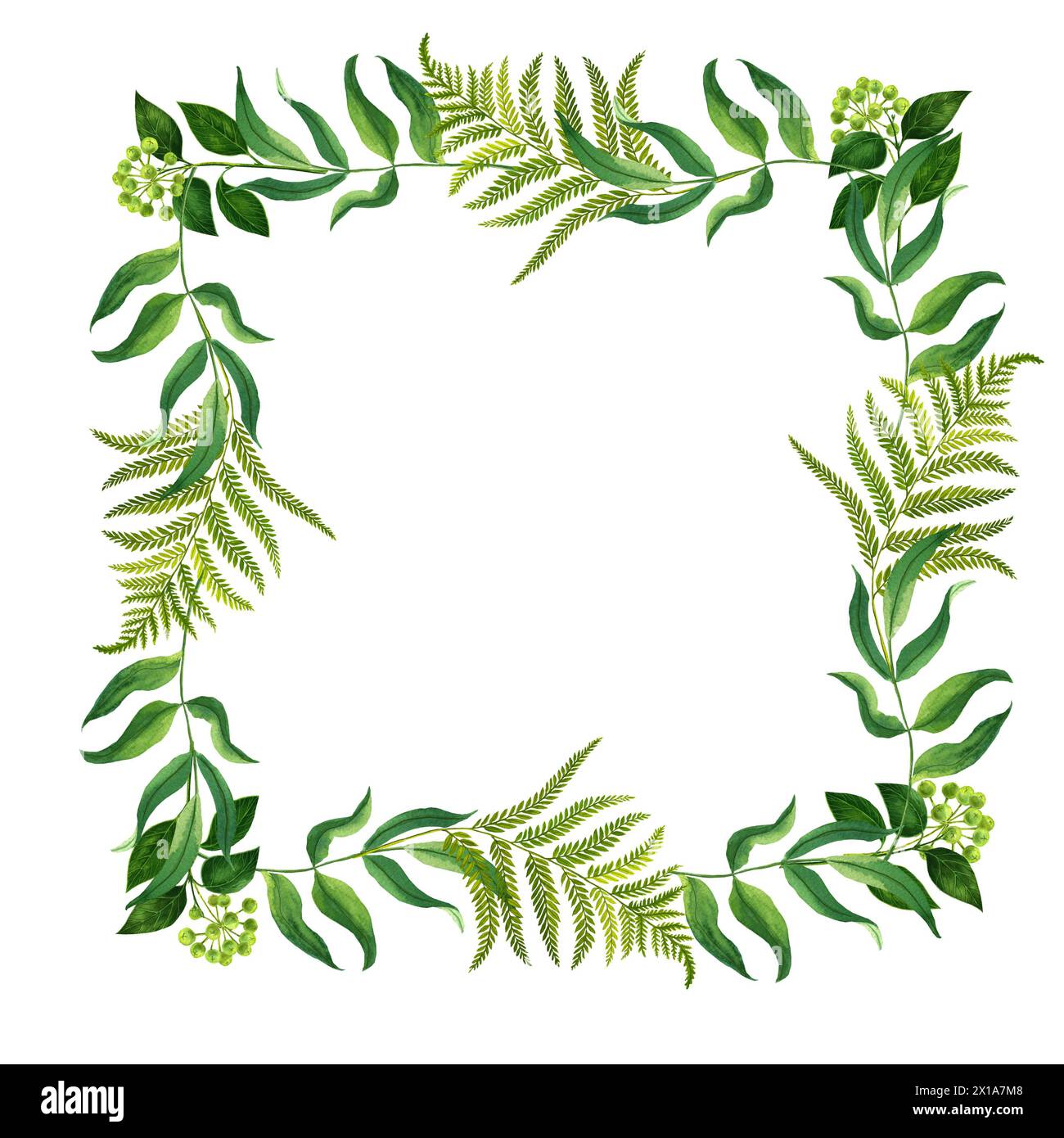 Cornice ad acquerello di rami e foglie su sfondo bianco per matrimoni e biglietti da visita Foto Stock