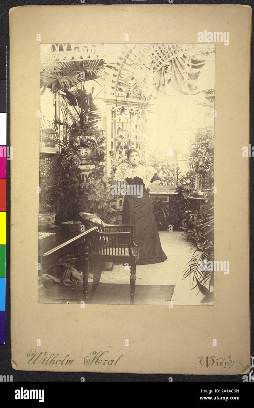 Charlotte Wolter nel giardino d'inverno del suo appartamento a Hietzing, Alleegasse 33, 1890 - 18900101 PD1220 - Rechteinfo: Rights Managed (RM) Foto Stock