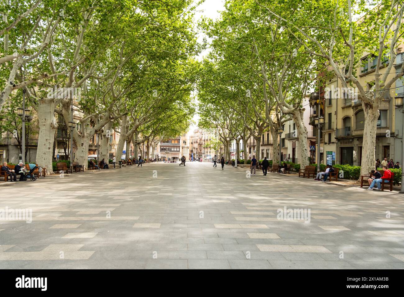 Ramblas a Figueras, Spanien Figueras Katalonien Spanien *** Ramblas a Figueras, Spagna Figueras Catalogna Spagna Foto Stock