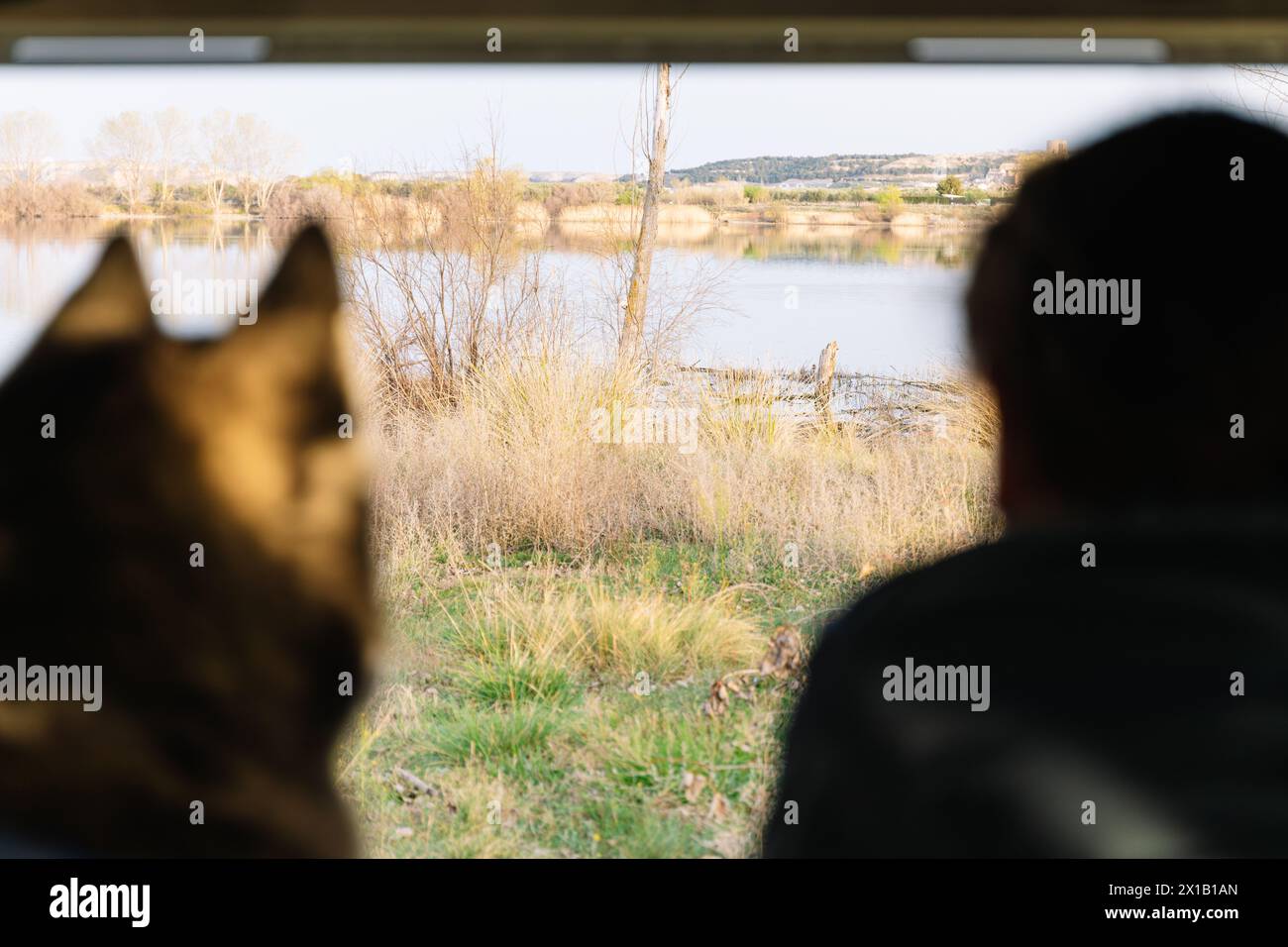 Foto orizzontale all'interno di un camper, un husky e il suo proprietario godono di una tranquilla vista sul lago, con il tranquillo paesaggio che si estende davanti a loro Foto Stock