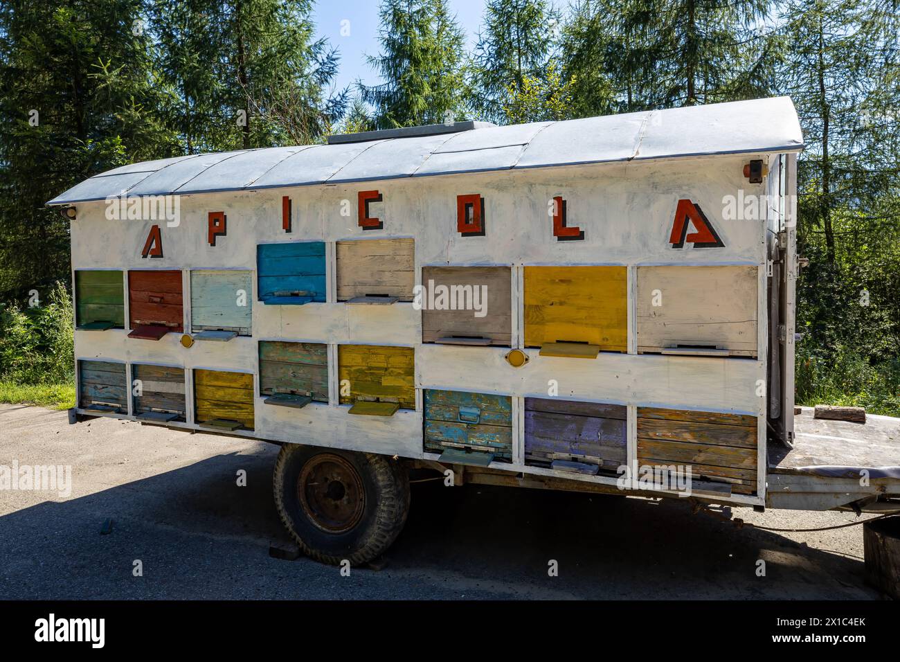 Miele e apicoltura nei carpazi della Romania Foto Stock