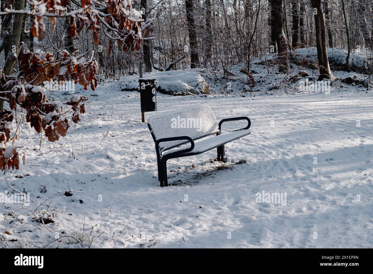 Panchina innevata in un paesaggio innevato Foto Stock