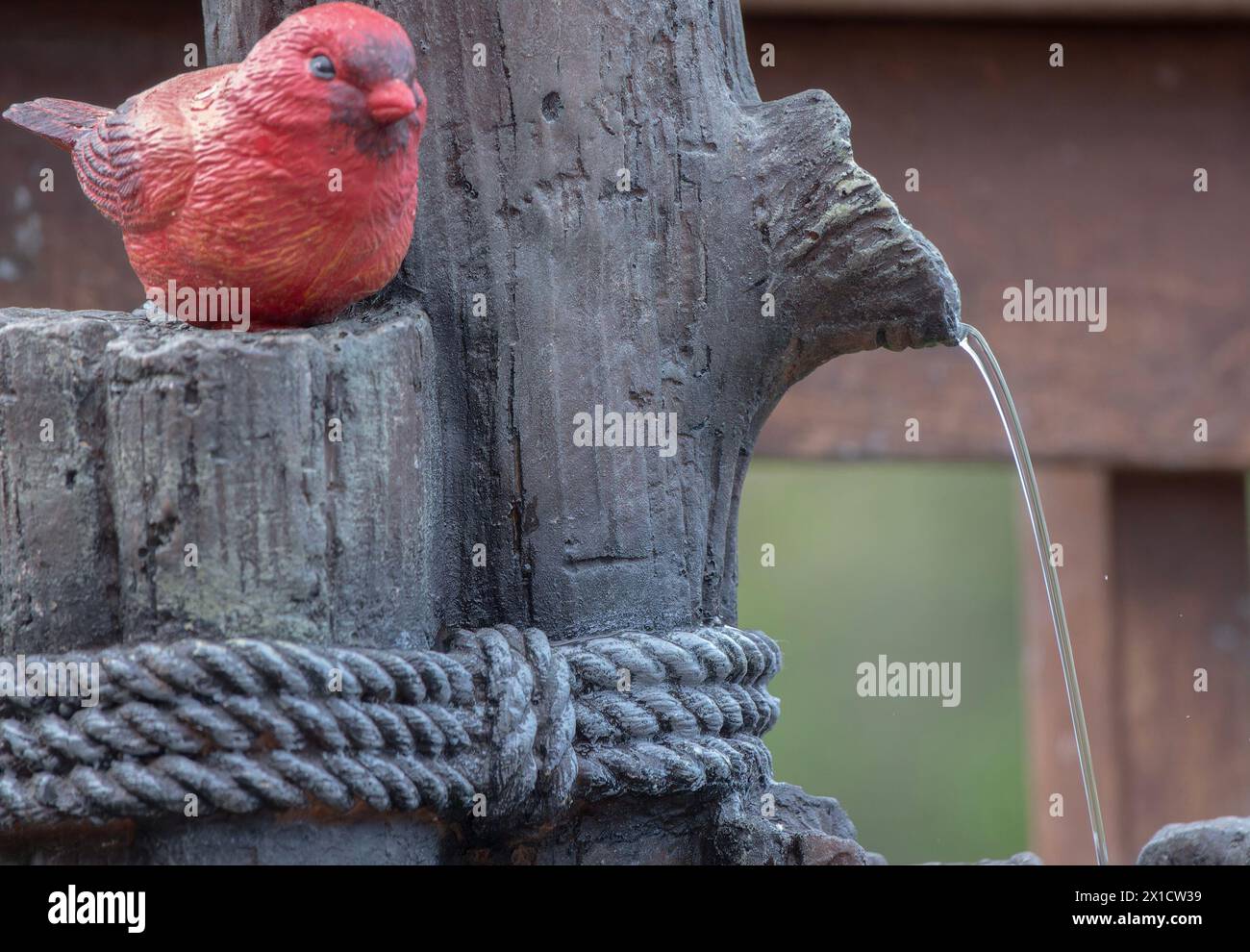 Una fontana con un piccolo cardinale del Nord Foto Stock