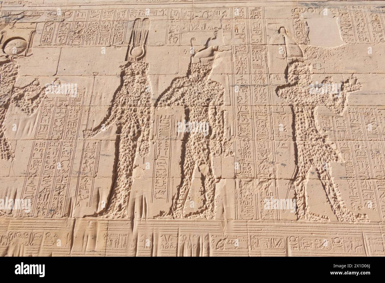 Sculture in rilievo, complesso del Tempio di Philae, isola Agilkia, bacino idrico della diga di Assuan. Luogo di sepoltura di Osiride. Egitto Foto Stock