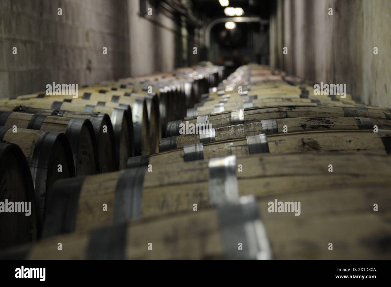 Botti di whiskey, Tennessee Foto Stock