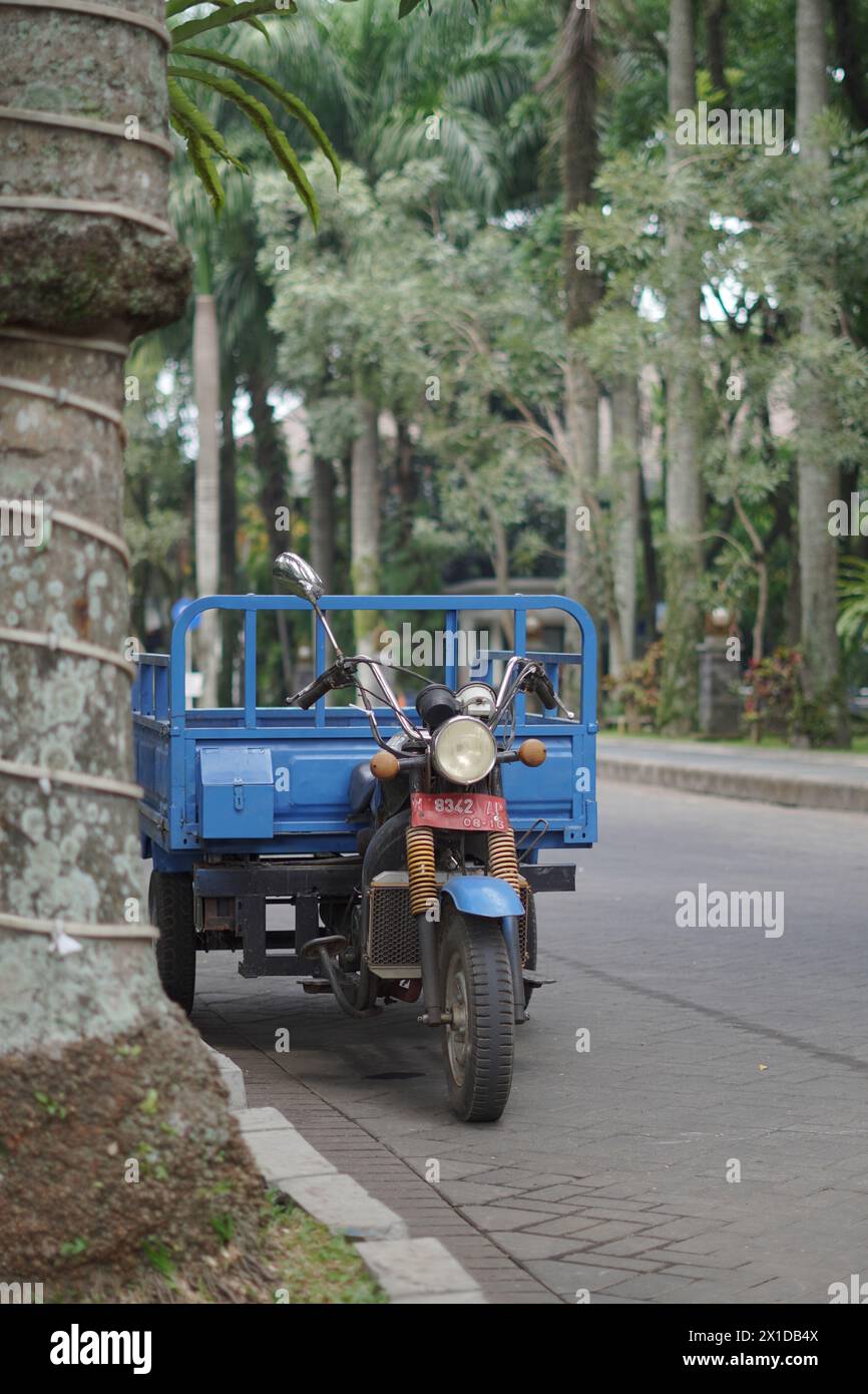 Una motocicletta a tre ruote con un corpo blu era parcheggiata sul lato della strada vicino a un grande albero Foto Stock
