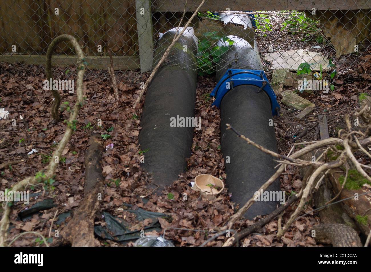 Little Marlow, Regno Unito. 16 aprile 2024. Tubi di uscita dal Tamigi Water Little Marlow, impianti di trattamento delle acque reflue di Little Marlow, nel Buckinghamshire, che si scaricano nel lago presso la riserva naturale Spade Oak. Dopo 16 ore di scarichi di acque piovane da parte del Tamigi, comprese le acque reflue, nel fiume Tamigi a valle delle loro opere di depurazione, le prove idriche organizzate dall'emittente naturalista Steve Backshall hanno trovato livelli allarmanti di inquinamento. I test indipendenti sull'acqua contamiantata sono stati effettuati dalla Bagnor University e i risultati hanno rilevato che i nitrati sono "a livelli dannosi per l'ambiente", N Foto Stock