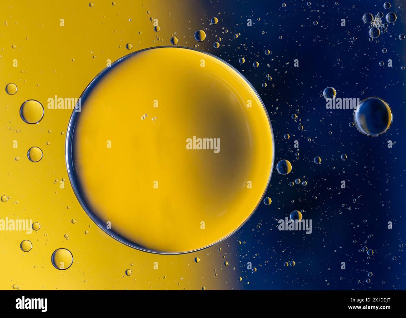 Abstract macro con gocce di olio in acqua, guardando come pianeti nello spazio. Foto Stock