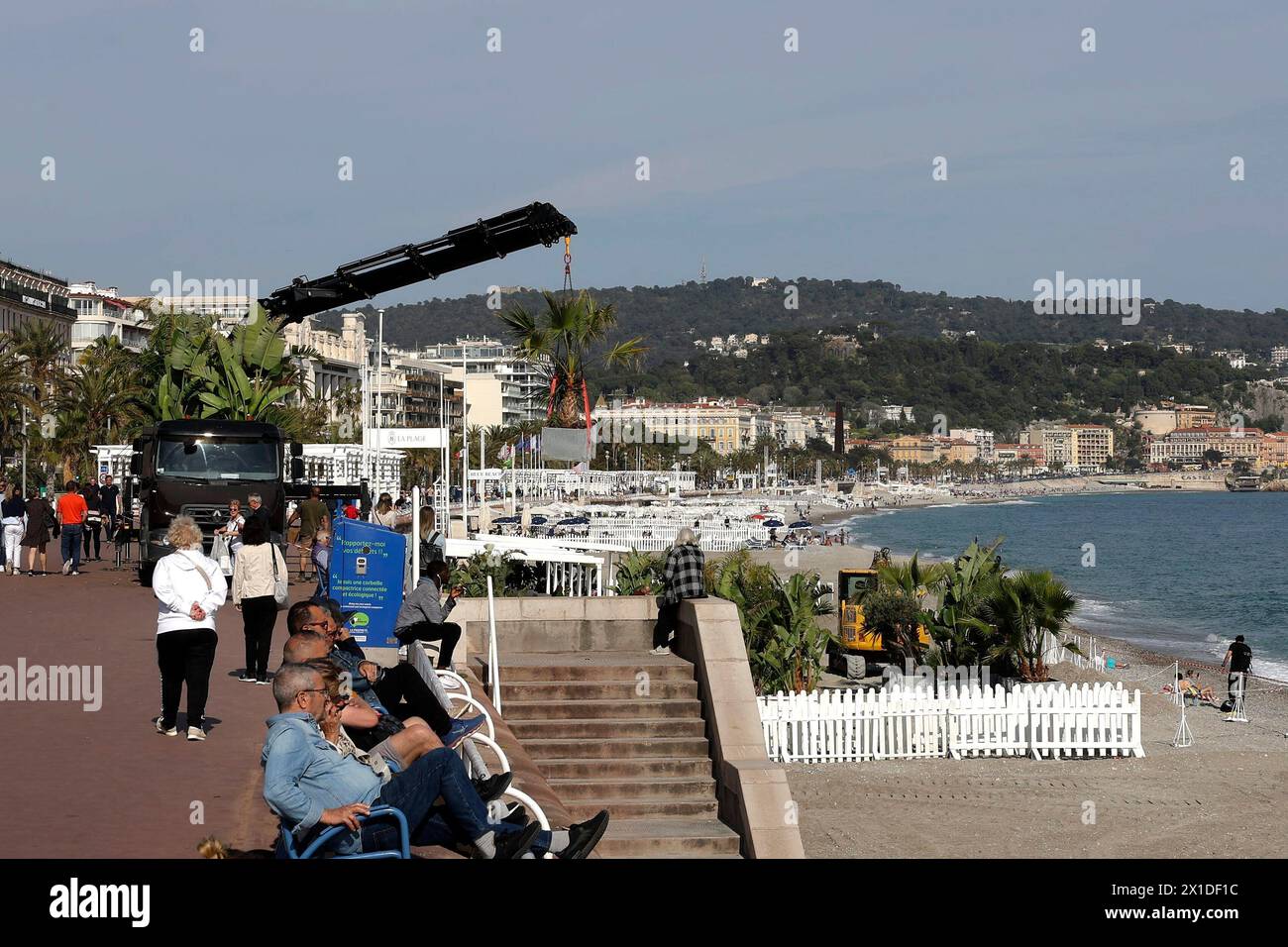 © Francois Glories/MAXPPP - 16/04/2024 palme sono state piantate sulla spiaggia dell'hotel Negresco sulla Promenade des Anglais e le spiagge private della città sono sempre più piantate di alberi. Crediti: MAXPPP/Alamy Live News Foto Stock