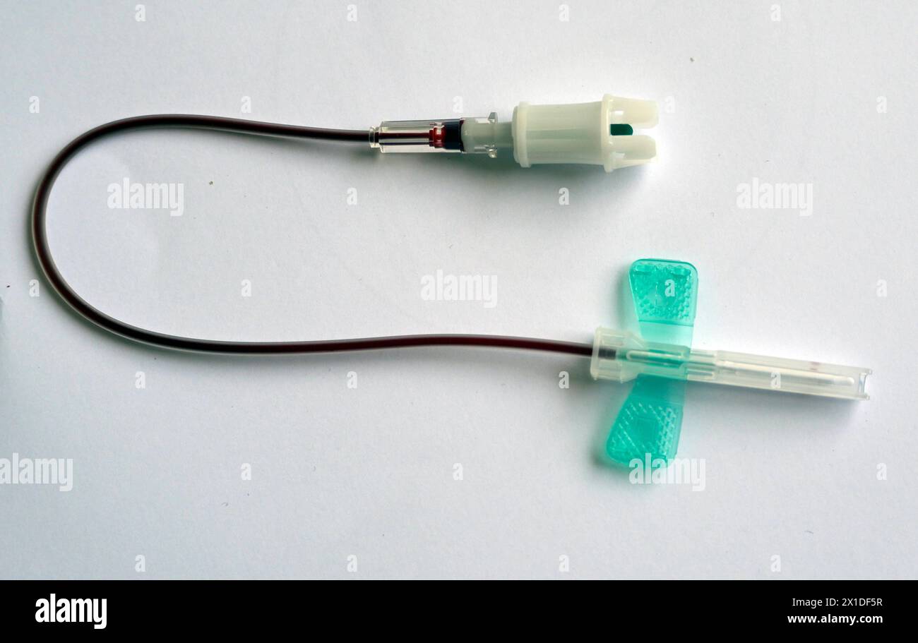 München, 20.03.24, Ärztin nimmt alter Patientin Blut ab, Blutabnahme, Nadel, Flügelkanüle Butterfly - Kanüle oder Schmetterling genannt besondere form der Kanüle. Blutentnahme, intravenöse Applikation von Medikamenten oder Flüssigkeitstherapie, Vacusera Blutentnahmenadeln, Venen, Vene, *** Monaco di Baviera, 20 03 24, il medico preleva il sangue da un paziente anziano, prelievo di sangue, ago, cannula a farfalla o farfalla chiamata forma speciale di cannula prelievo di sangue, applicazione endovenosa di farmaci o terapia con fluidi, aghi per raccolta del sangue di Vacusera, vene, vene, Foto Stock