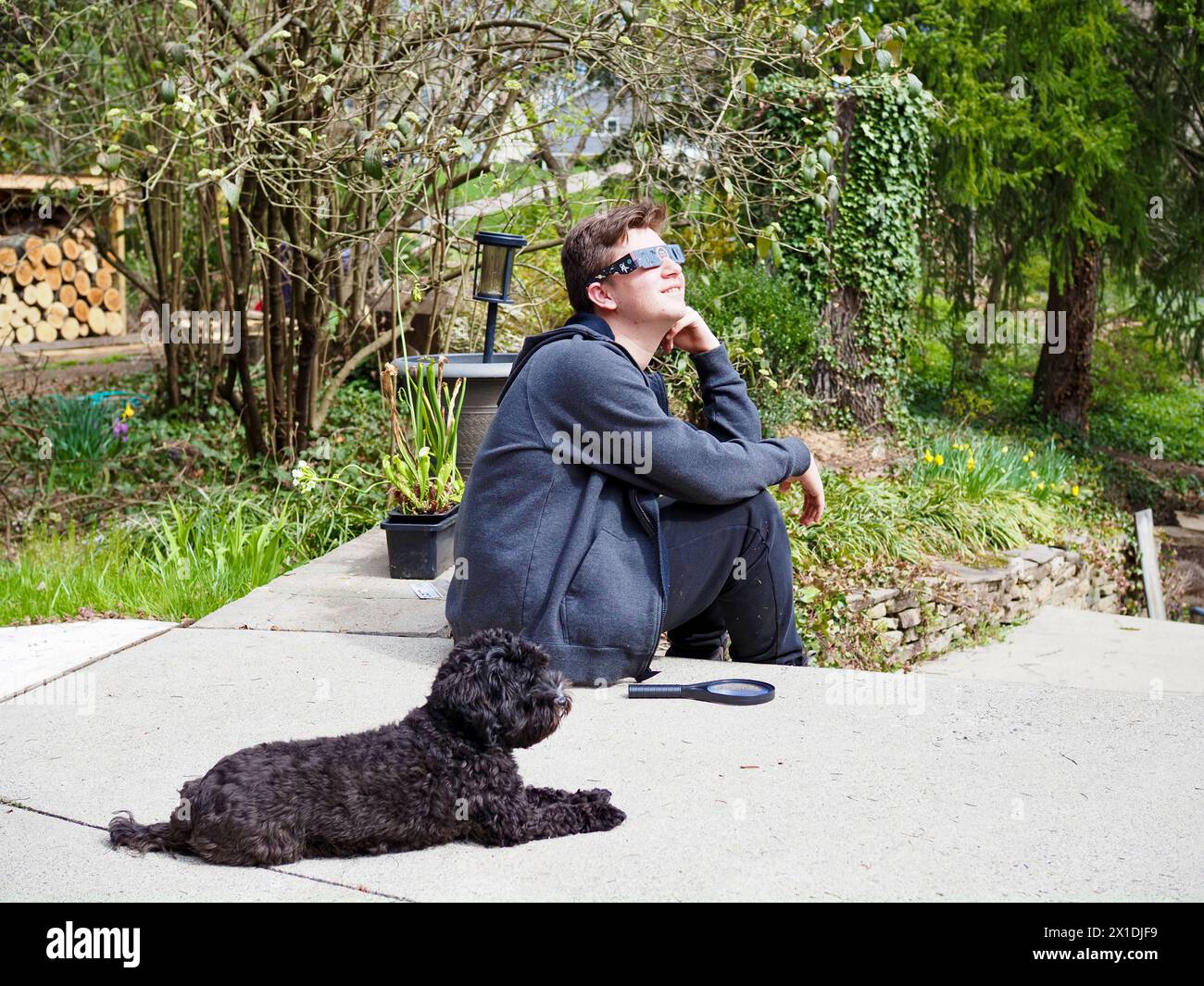 Felice ragazzo di 15 anni che guarda 2024 eclissi solare e indossa occhiali per la protezione degli occhi. Cane da compagnia in primo piano. Foto Stock
