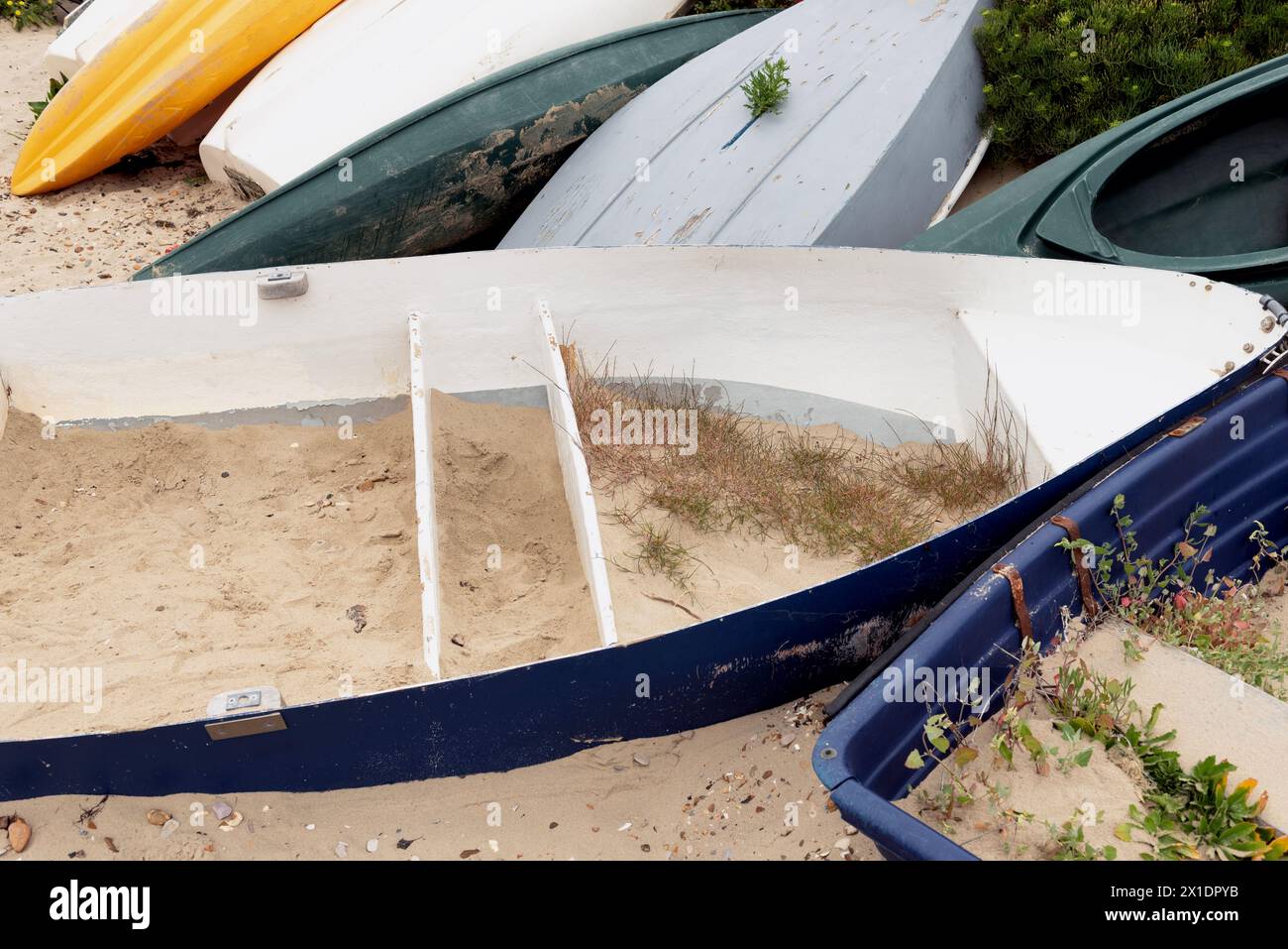 Piante che crescono sulle barche lasciate sulla spiaggia Foto Stock
