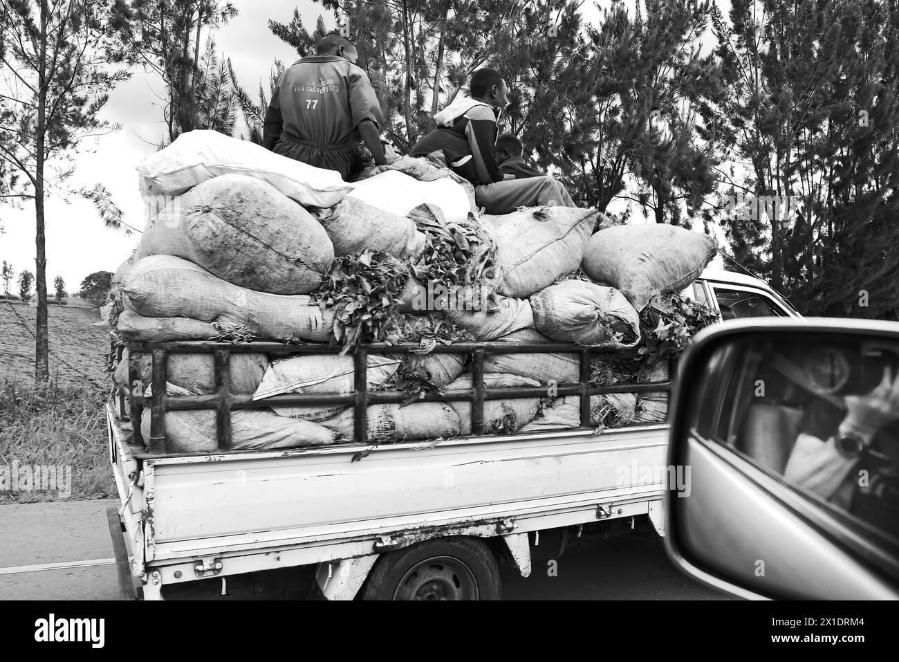 I giovani lavoratori ugandesi, vestiti con colori vivaci, chiacchierano e si rilassano in cima a grandi sacchi di frutta nel retro di una fotografia in bianco e nero, durante il tragitto verso Masin Foto Stock