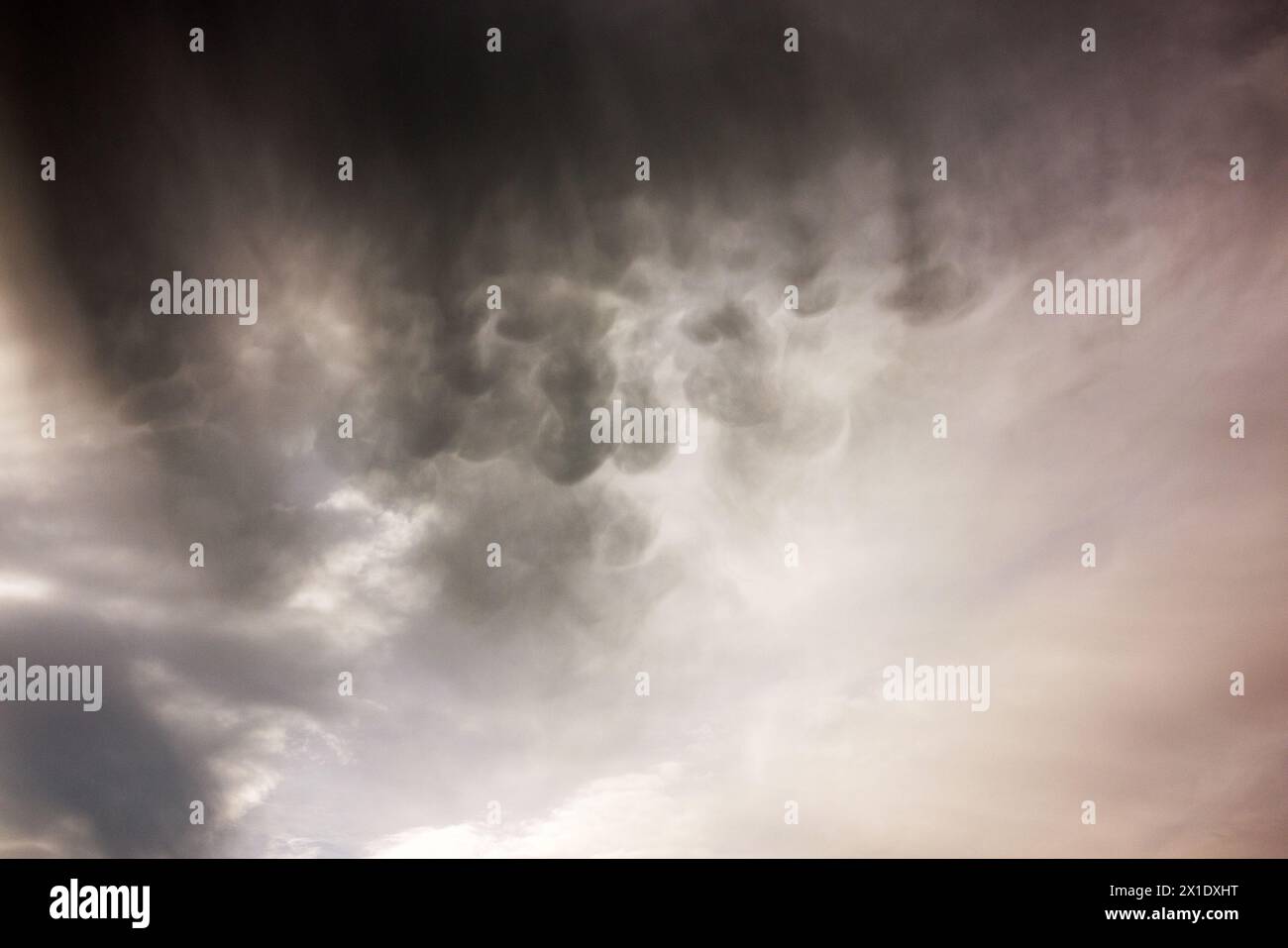 Nuvole di Mammatus, nuvole di lana di cotone che si formano alla base di cumulonimbus, cirrus, altocumulus e persino nuvole di cenere vulcanica. Sfondo testurizzato Foto Stock