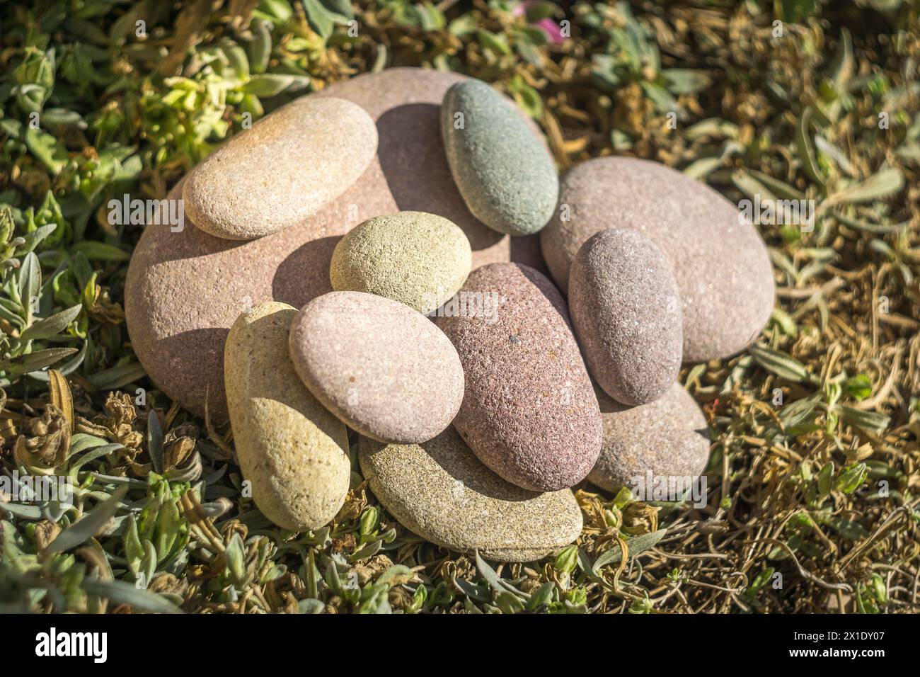 pietre per meditazione e riposo nella natura, pietre cadute Foto Stock