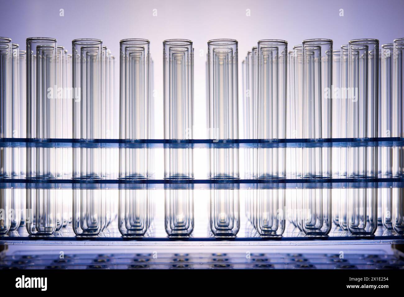 Primo piano di un gruppo di provette di vetro vuote posizionate in un rack da laboratorio e retroilluminate. Foto Stock