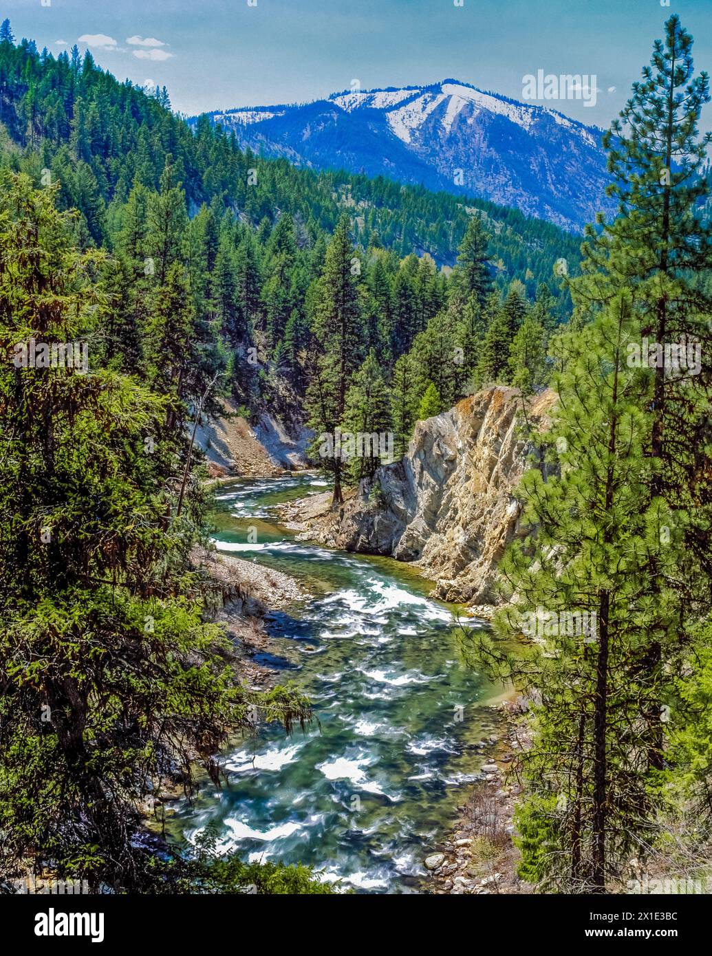 fish creek sopra la confluenza con la gola di alberton vicino a tarkio, montana Foto Stock