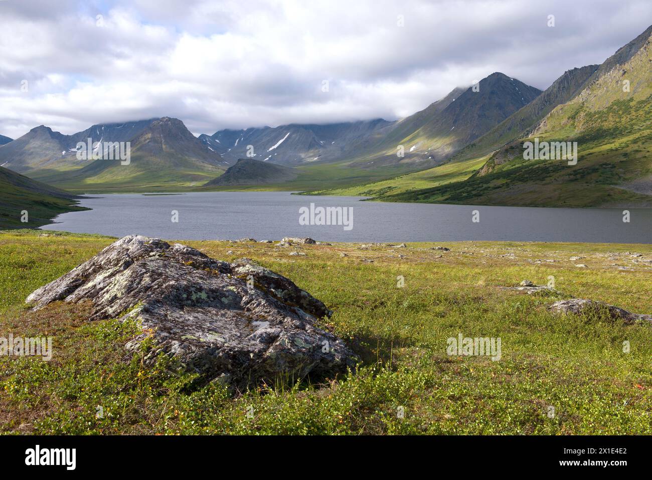 Nuvoloso giorno di agosto sul lago Big Hadatayoganlor. Yamal, Russia Foto Stock