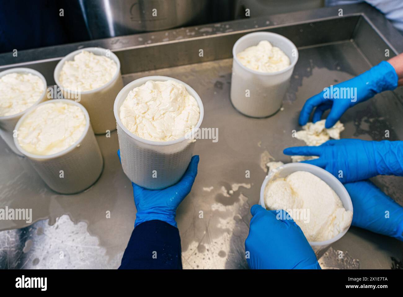 Stampi di ripieno per la produzione di formaggio molle. Gli spazi bianchi di formaggio sono immersi in salamoia. Messa a fuoco selezionata. Foto di alta qualità Foto Stock