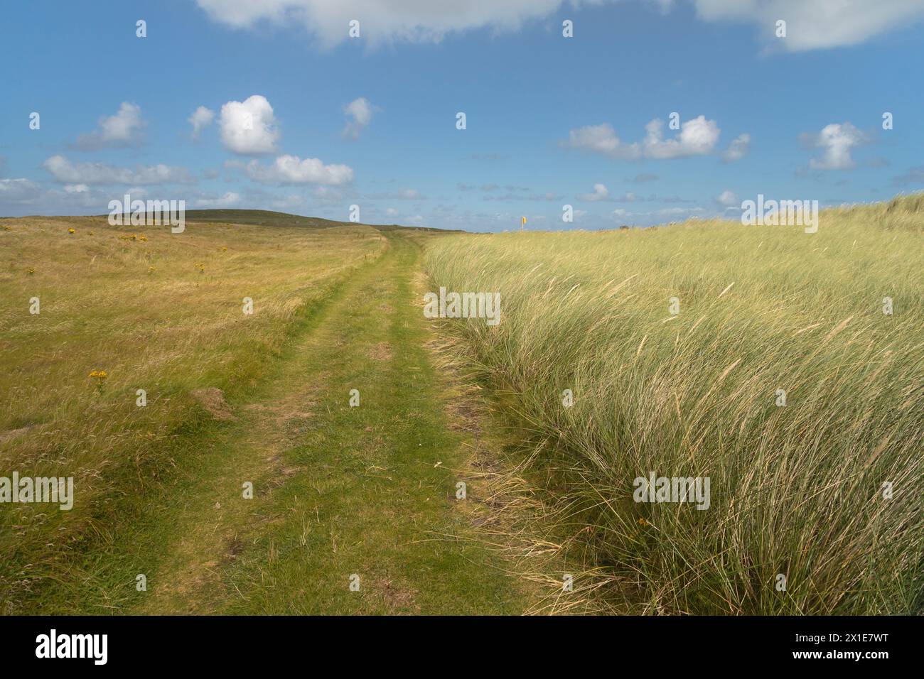 Sentiero a piedi sull'isola di Inishboffin sulla Wild Atlantic Way a Donegal in Irlanda in Europa Foto Stock