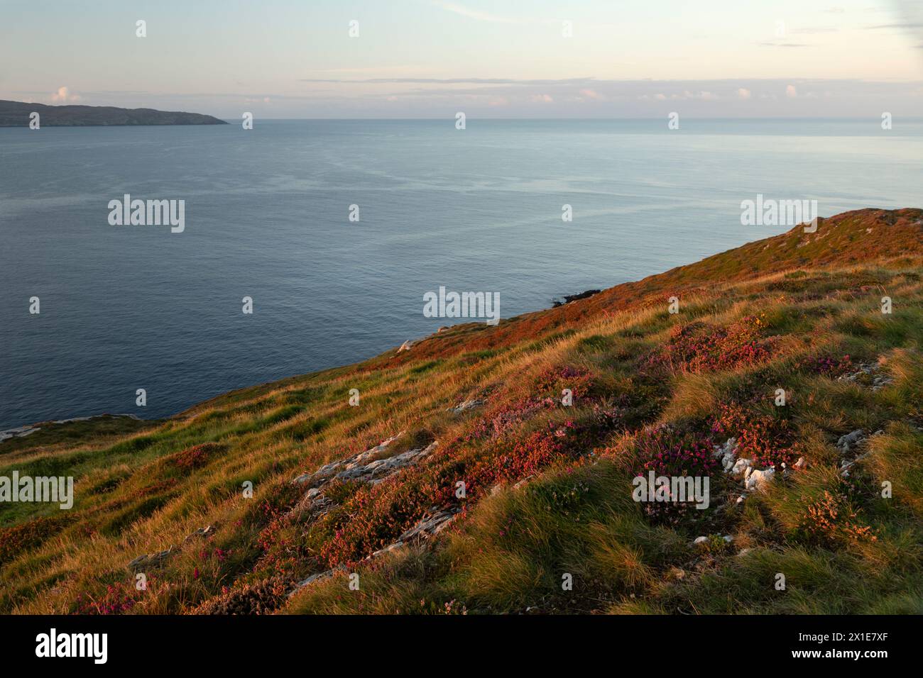 Ammira la penisola della testa delle pecore dall'isola di bere sulla penisola di Beara sulla Wild Atlantic Way a West Cork in Irlanda Europa Foto Stock