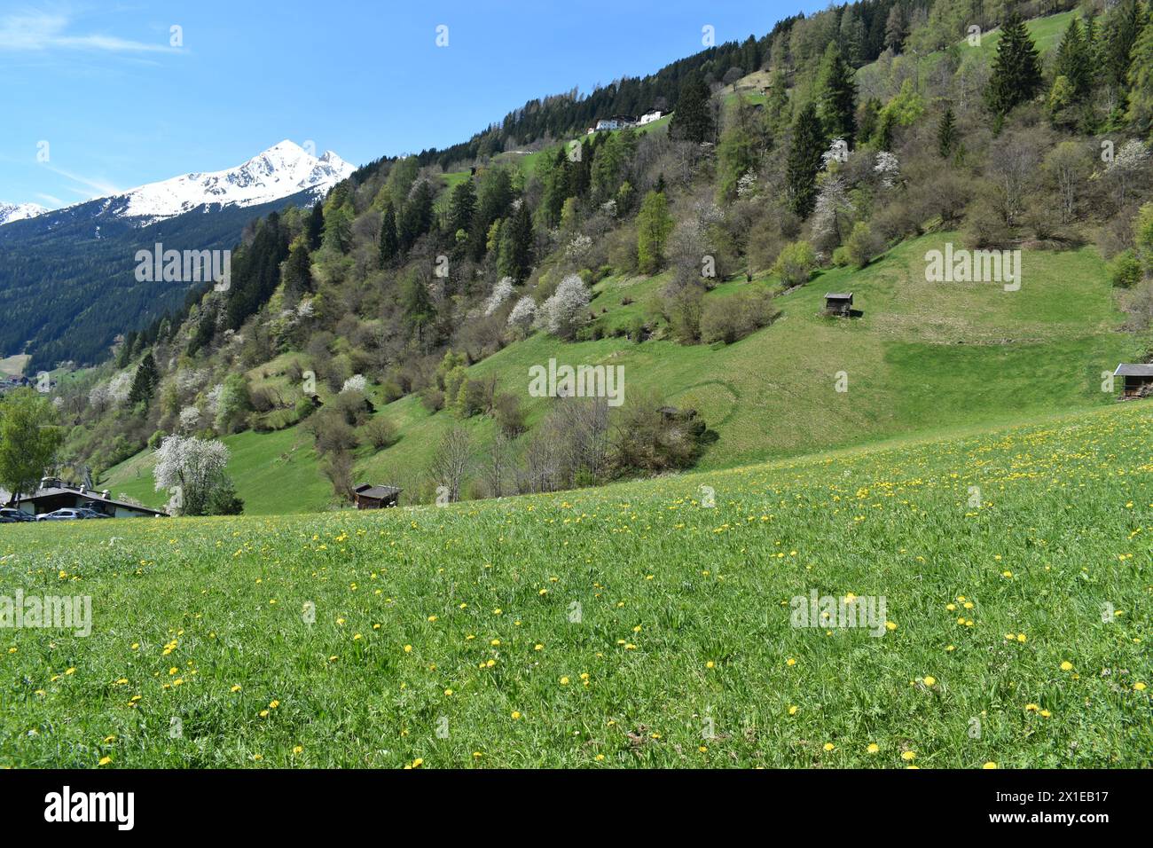 Vista dalla splendida valle dello Stubai sotto il ghiacciaio dello Stubai con piccoli villaggi. Austria Alpes regione del Tirolo. Foto Stock