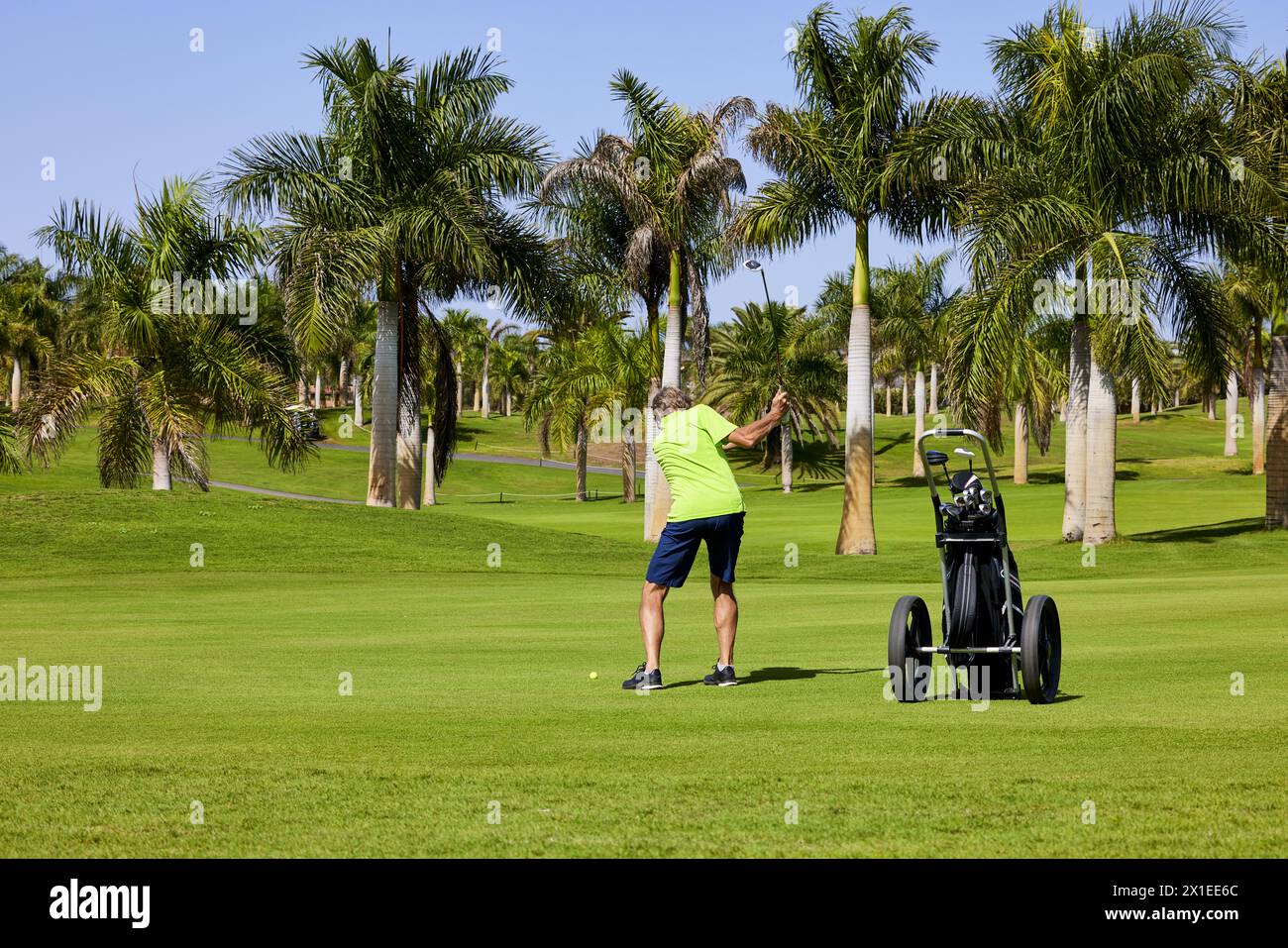 Golfista su un campo da golf, pronto a giocare a golf. Golfista con golf club che colpisce la palla per il tiro perfetto. Foto Stock
