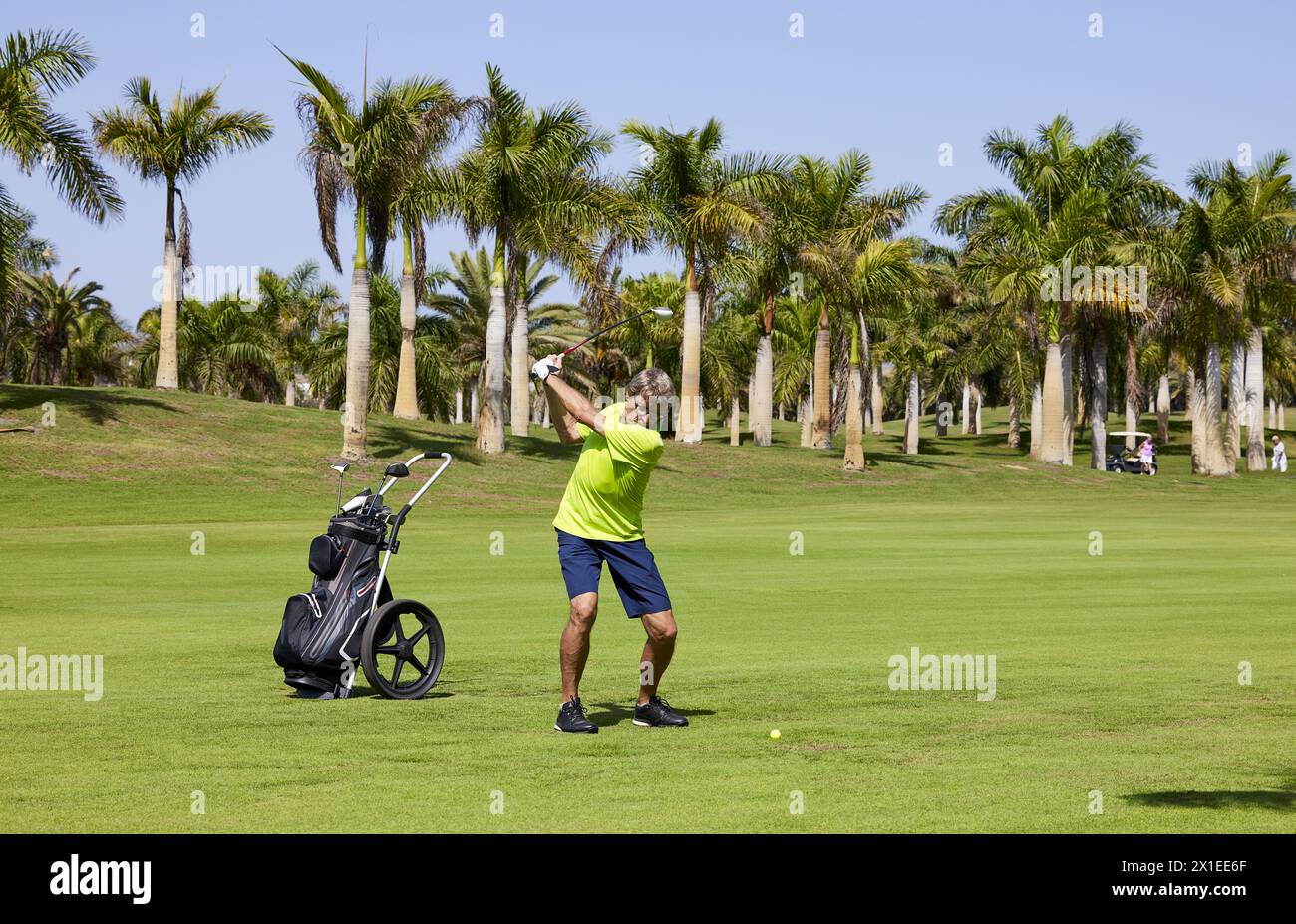 Golfista su un campo da golf, pronto a giocare a golf. Golfista con golf club che colpisce la palla per il tiro perfetto. Foto Stock