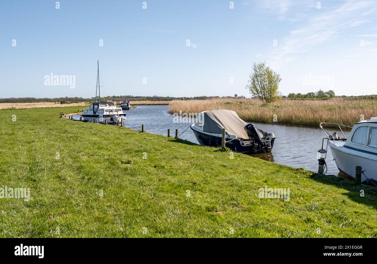 Upton, Norfolk, Regno Unito – 14 aprile 2024. Barche da diporto e barche a motore ormeggiate a Upton Dyke sul fiume Bure, Norfolk Broads Foto Stock
