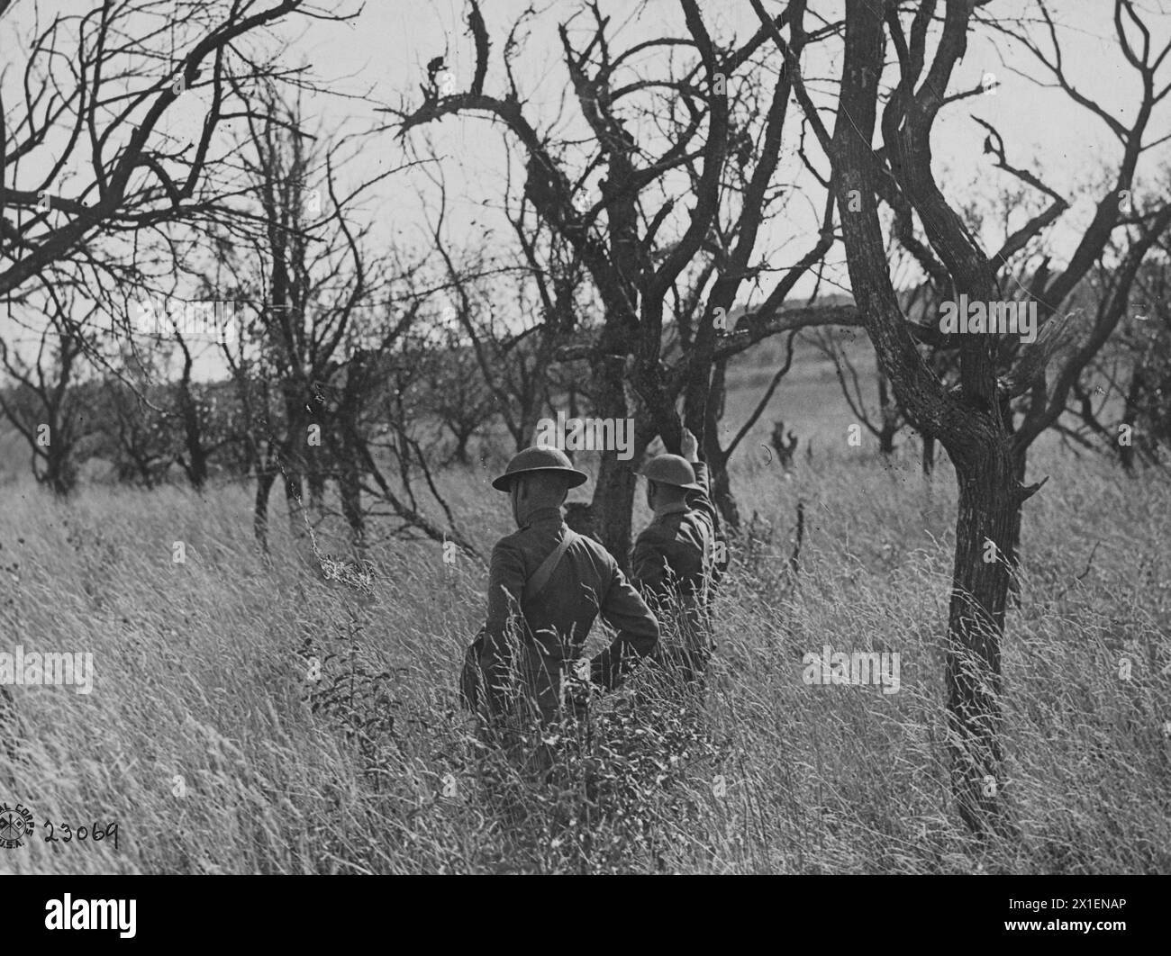Foto della prima guerra mondiale: I soldati americani camminano attraverso un meleto degradato durante la loro avanzata nella regione francese delle Argonne, a nord-ovest di Verdun, CA. 1918 Foto Stock
