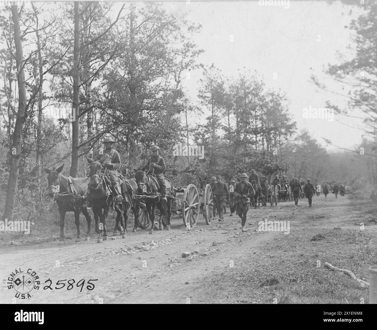 Foto della prima guerra mondiale: Treno di rifornimenti della 138th Supply Company che va avanti con le munizioni. A sud del monte Vauquois, Francia ca. 1918 Foto Stock