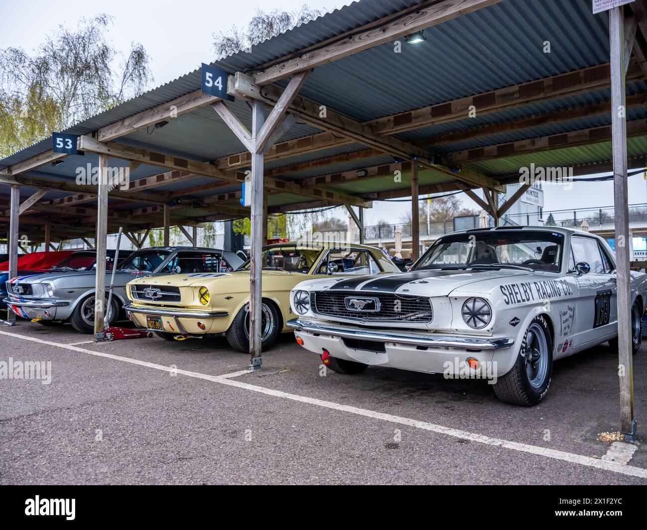 Aprile 2024 - raccolta di auto da corsa Ford Mustang nel paddock al 81° incontro dei membri a Goodwood, per celebrare i 60 anni dal suo lancio Foto Stock