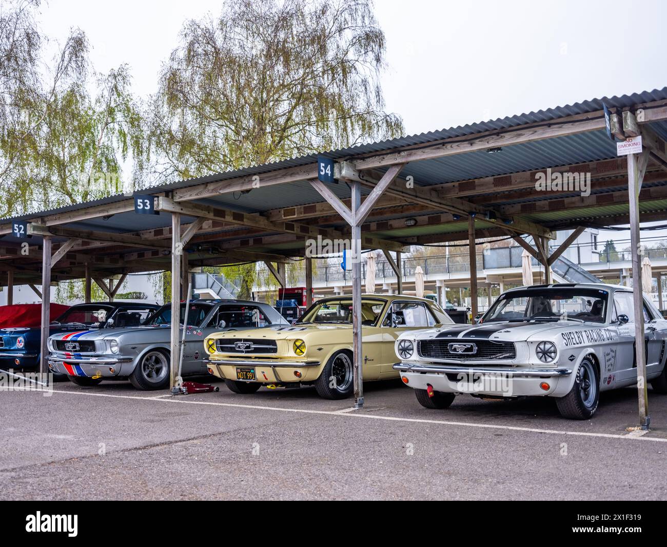 Aprile 2024 - raccolta di auto da corsa Ford Mustang nel paddock al 81° incontro dei membri a Goodwood, per celebrare i 60 anni dal suo lancio Foto Stock