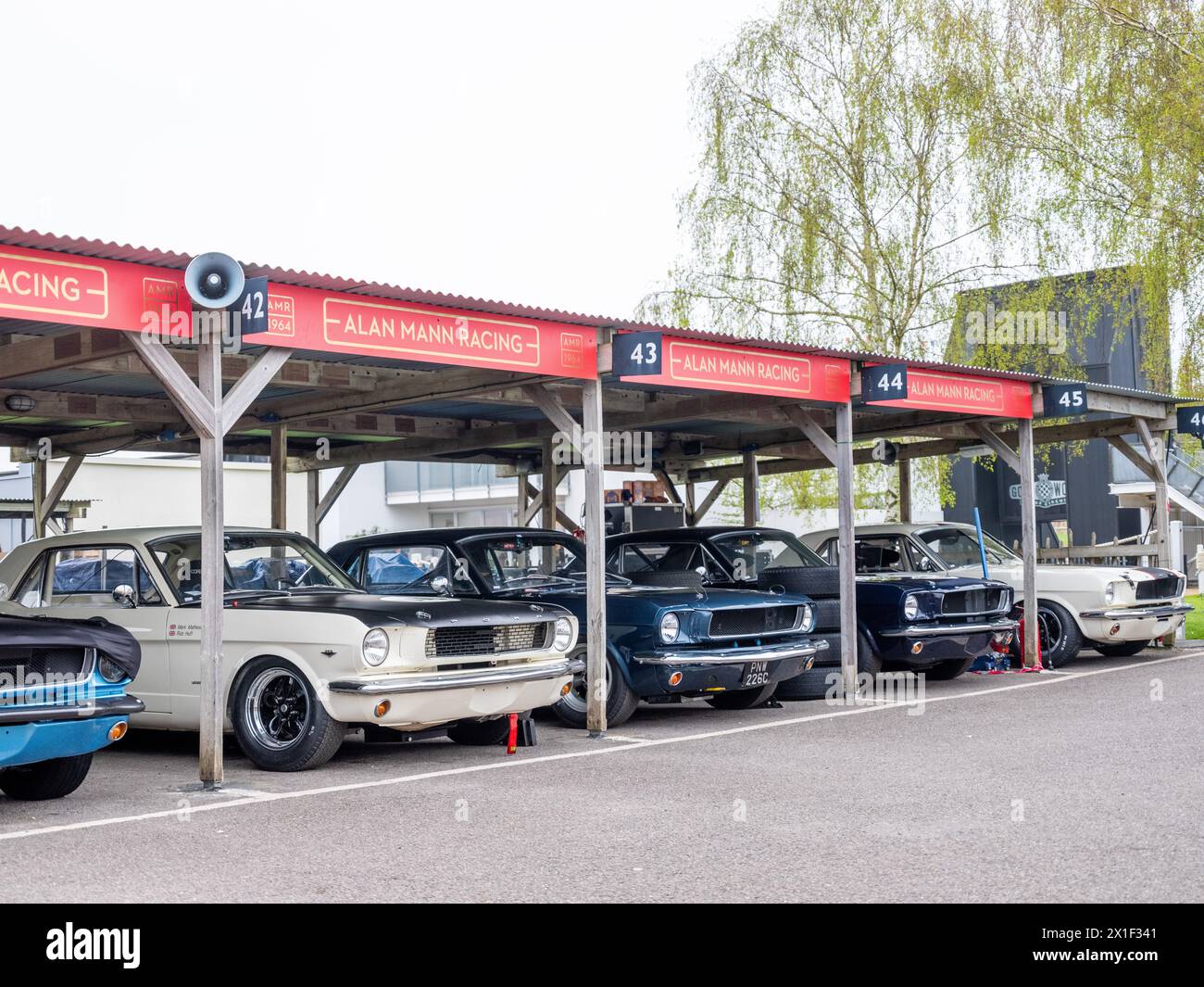 Aprile 2024 - raccolta di auto da corsa Ford Mustang nel paddock al 81° incontro dei membri a Goodwood, per celebrare i 60 anni dal suo lancio Foto Stock