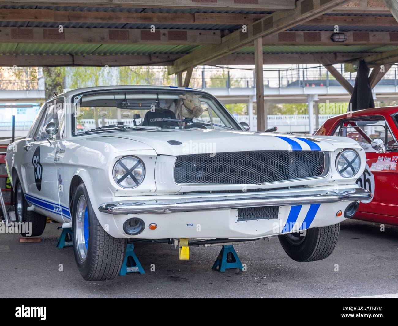 Aprile 2024 - raccolta di auto da corsa Ford Mustang nel paddock al 81° incontro dei membri a Goodwood, per celebrare i 60 anni dal suo lancio Foto Stock