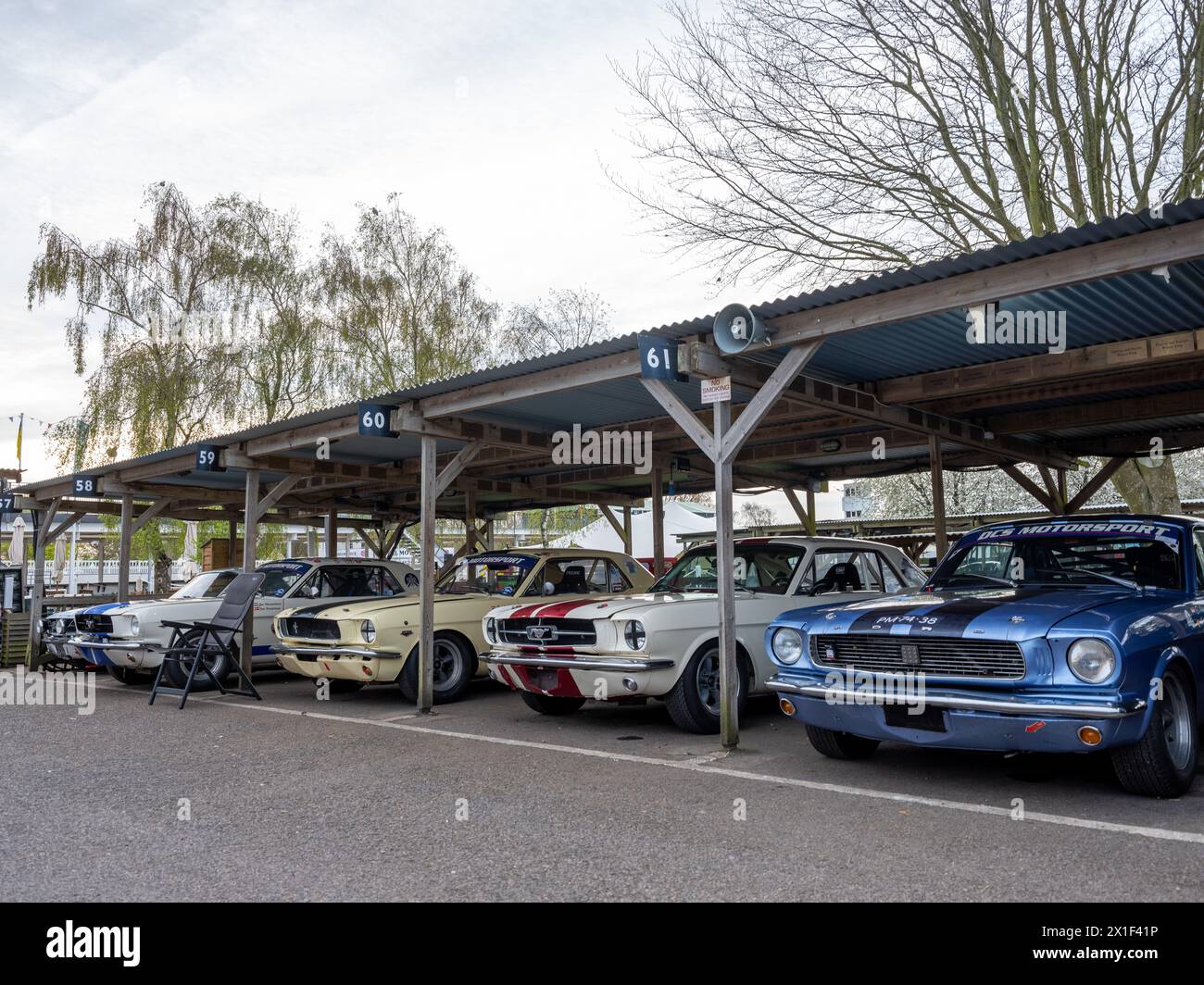 Aprile 2024 - raccolta di auto da corsa Ford Mustang nel paddock al 81° incontro dei membri a Goodwood, per celebrare i 60 anni dal suo lancio Foto Stock
