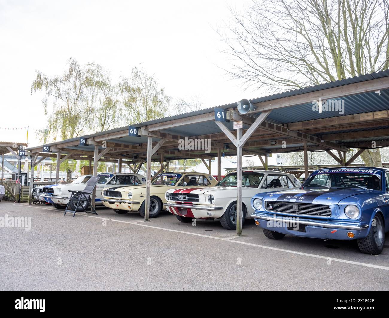 Aprile 2024 - raccolta di auto da corsa Ford Mustang nel paddock al 81° incontro dei membri a Goodwood, per celebrare i 60 anni dal suo lancio Foto Stock