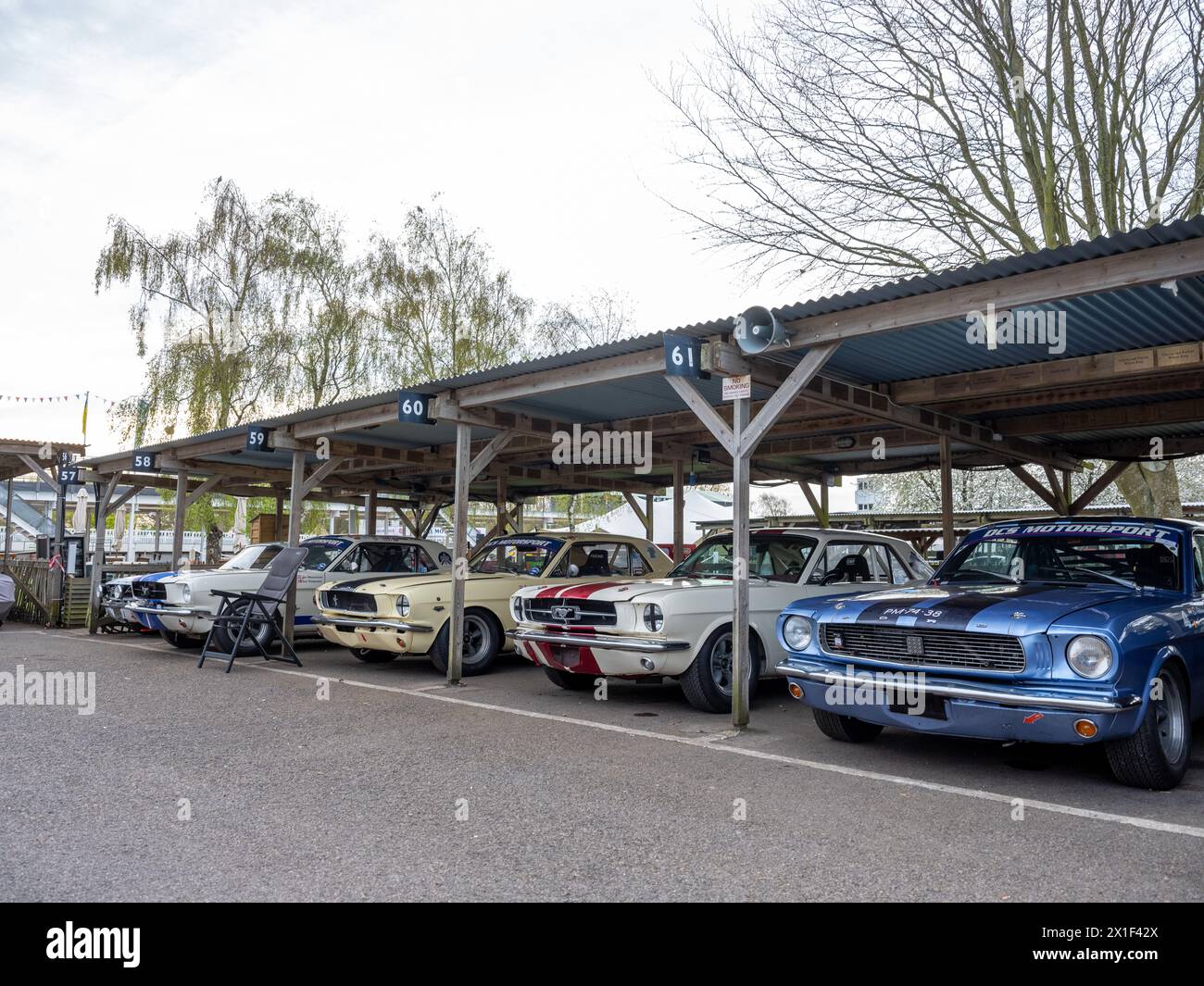 Aprile 2024 - raccolta di auto da corsa Ford Mustang nel paddock al 81° incontro dei membri a Goodwood, per celebrare i 60 anni dal suo lancio Foto Stock