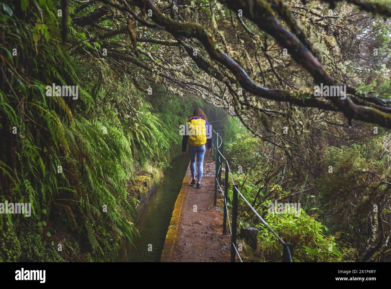 Descrizione: Turista donna con zaino che cammina attraverso un canale d'acqua ricoperto di rami in una foresta laurica in una giornata di pioggia. 25 Fontes waterfa Foto Stock