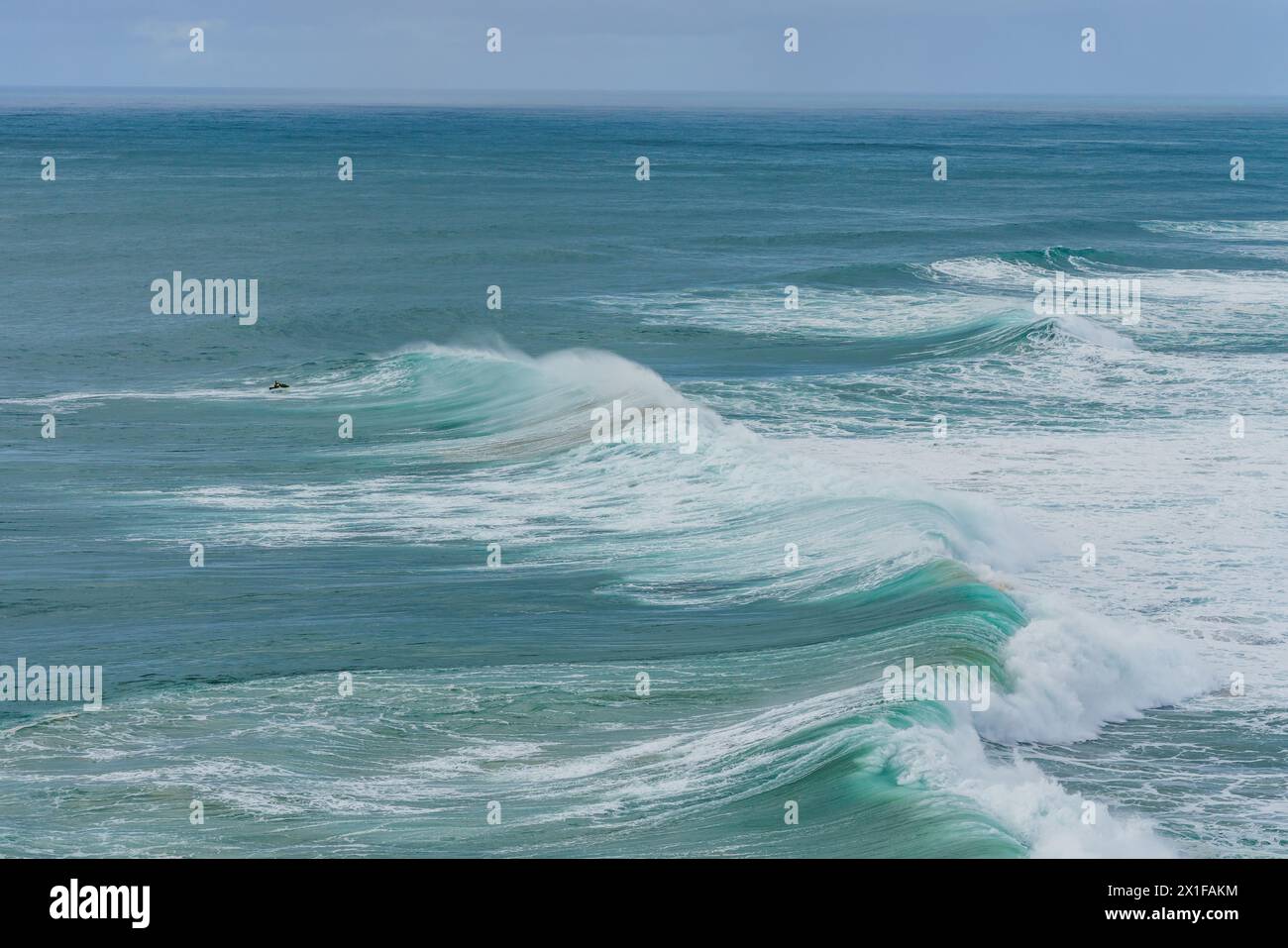 Un surfista solitario cavalca un'onda immensa che mostra il formidabile surf per cui Nazare è famosa. Portogallo, Costa d'argento Foto Stock