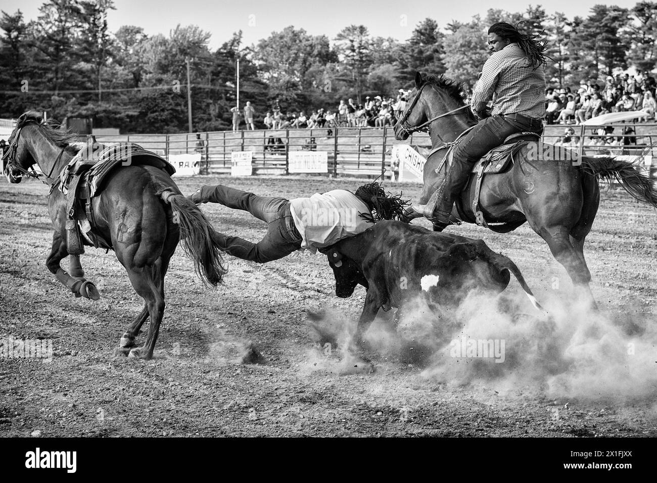 Bellville, Michigan, Stati Uniti. 10 giugno 2023. L'ex giocatore della NFL ROBERT HUGHES e ora concorrente di Black Cowboy (R) gioca il ruolo di pick-up man nella competizione di Steer wrestling durante il Midwest Invitational Rodeo presso la zona fieristica della contea di Wayne a Bellville. (Immagine di credito: © Brian Branch Price/ZUMA Press Wire) SOLO PER USO EDITORIALE! Non per USO commerciale! Foto Stock