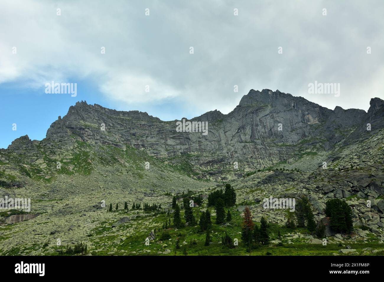 La cresta di un'alta roccia a picco in una catena montuosa con cedri rari sul pendio sotto un cielo nuvoloso estivo. Parco naturale di Ergaki, territorio di Krasnoyarsk Foto Stock